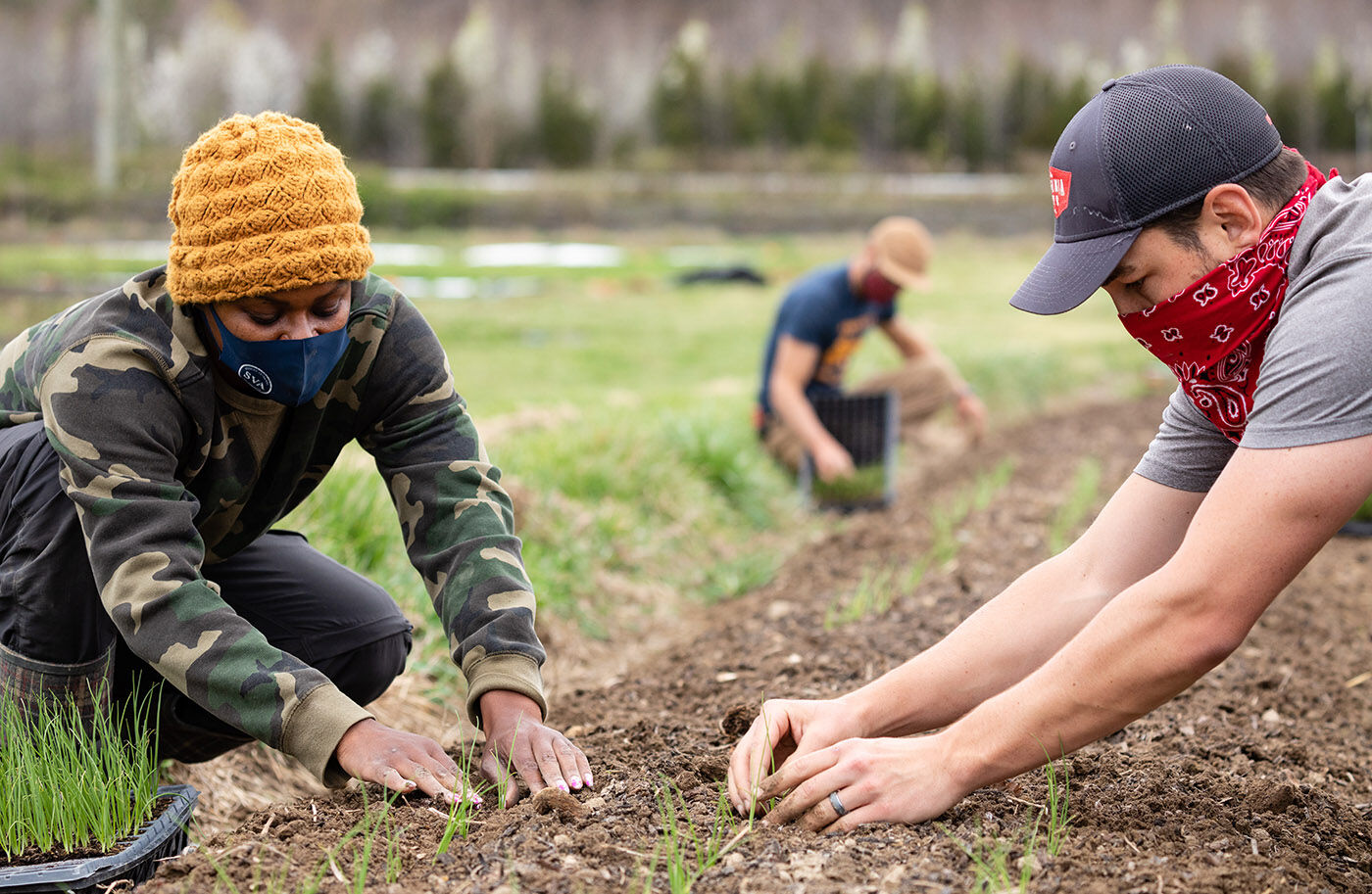 Veterans in farm program
